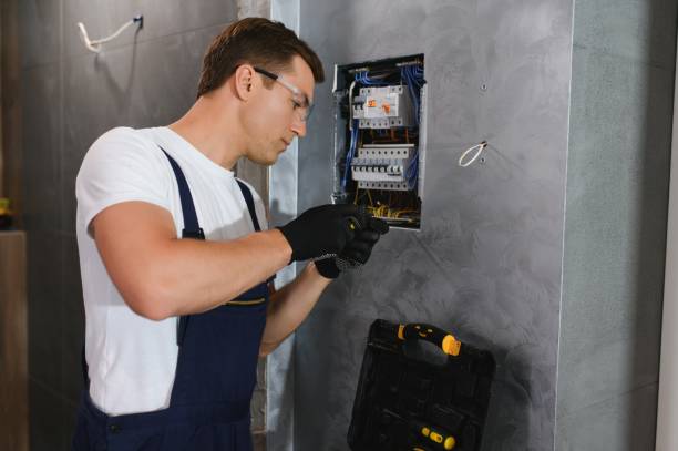 Best Electric Panel Repair  in Clayton, DE